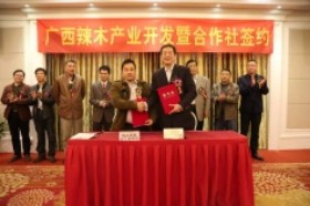 图片 10.jpg